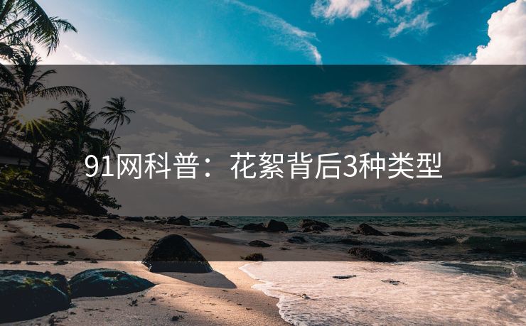 91网科普：花絮背后3种类型