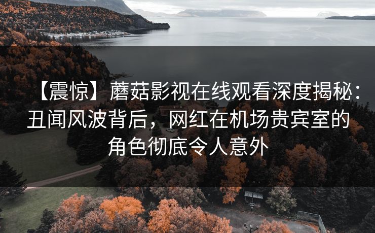 【震惊】蘑菇影视在线观看深度揭秘：丑闻风波背后，网红在机场贵宾室的角色彻底令人意外