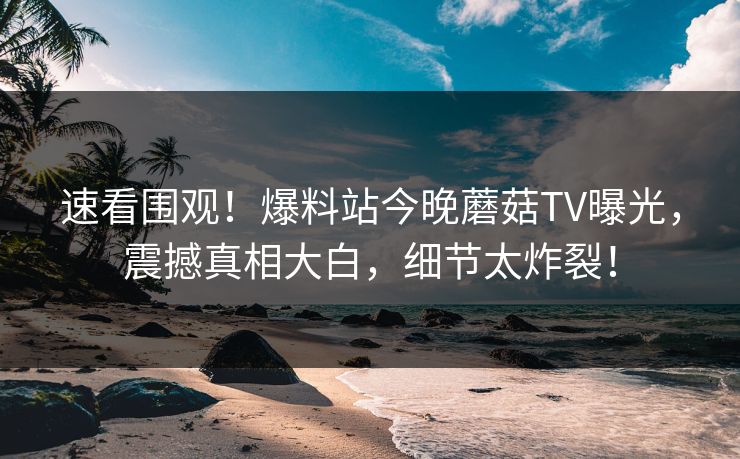 速看围观！爆料站今晚蘑菇TV曝光，震撼真相大白，细节太炸裂！