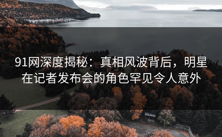 91网深度揭秘：真相风波背后，明星在记者发布会的角色罕见令人意外
