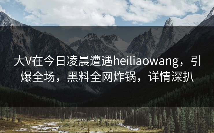 大V在今日凌晨遭遇heiliaowang，引爆全场，黑料全网炸锅，详情深扒